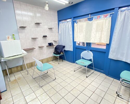 椅子ヨガクラス